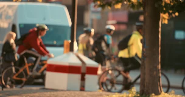 Varie Persone Bicicletta Sullo Sfondo Della Città — Video Stock