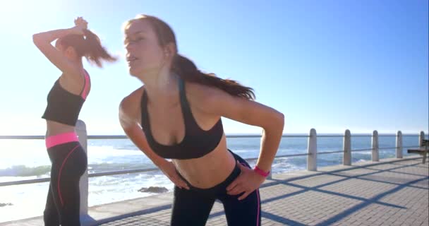 Video Footage Two Friends Warming Daytime Jog — Stockvideo