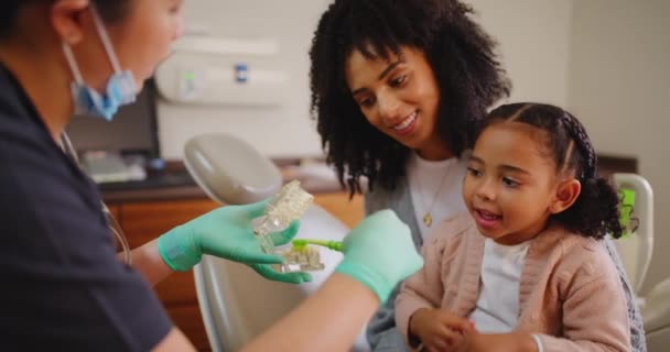Ensino Dentista Aprendizagem Criança Uma Rotina Escovação Dos Dentes Com — Vídeo de Stock