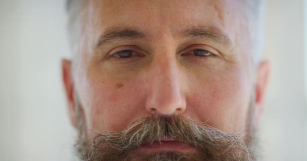 Closeup Mature Hipster Man Thinking Unruly Untidy Beard Showing Serious — Αρχείο Βίντεο