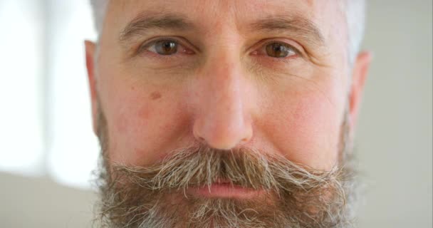 Closeup Mature Man Thinking Stylish Classy Beard Showing Serious Expression — Video