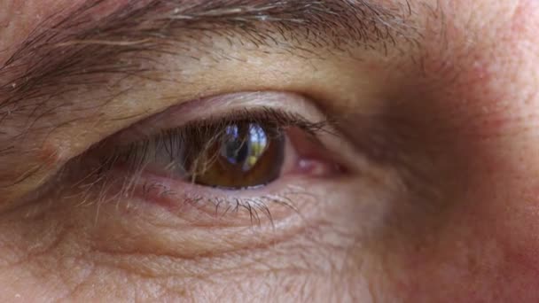 Closeup Male Brown Eye Movement Perfect Vision Anatomy Details Human — Stockvideo