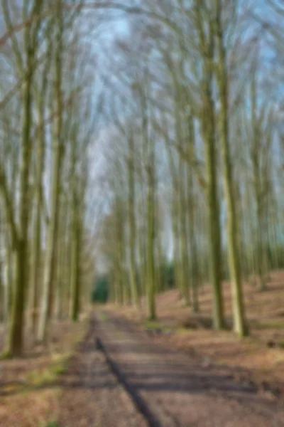 Blurred View Secret Mysterious Dirt Road Countryside Leading Magical Forest — Stockfoto