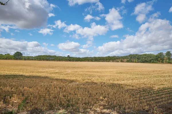 Landscape Copyspace View Vibrant Country Field Already Harvested Summer Secluded — 图库照片