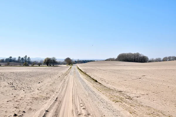 View Trees Sandy Farm Clear Blue Sky Copy Space Autumn — Φωτογραφία Αρχείου