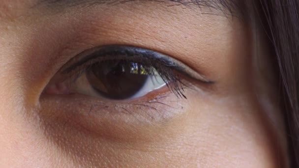 Closeup Brown Eye Blinking Vision Test Anatomy Details Human Eyeball — Stok video