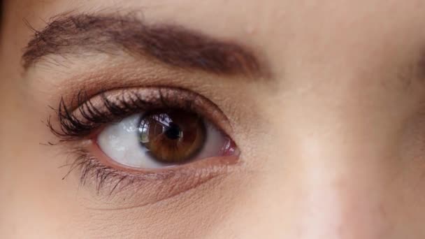 Closeup Portrait Eye Woman Blinking Making Direct Eye Contact Zoom — Stock videók