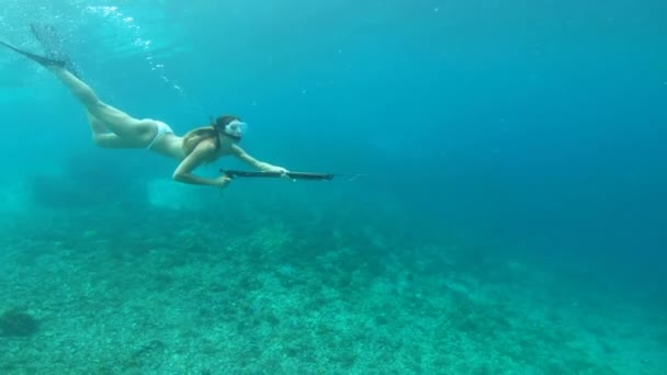 Video Footage Young Woman Spearfishing Underwater — 비디오