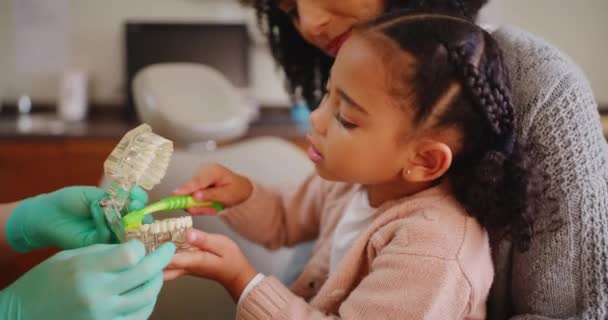 Дантист Рассказывает Ребенку Правильной Практике Гигиены Зубов Мама Приёме Стоматолога — стоковое видео