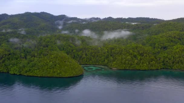 Drone Beelden Van Een Eiland Omringd Door Oceaan Indonesië — Stockvideo