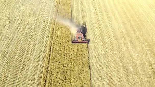 Drone Footage Tractor Ploughing Field Farm — Stockvideo