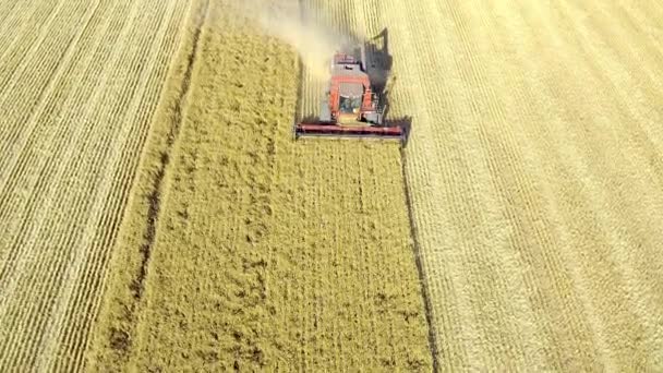 Drone Footage Tractor Ploughing Field Farm — 图库视频影像