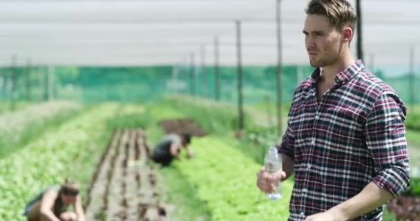 Video Footage Handsome Young Man Drinking Water While Working Farm — Stockvideo