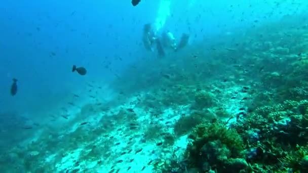 Видеозаписей Молодых Людей Ныряющих Аквалангом Океане — стоковое видео