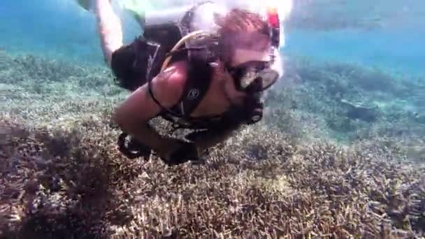 Video Footage Young Man Scuba Diving Ocean — 图库视频影像