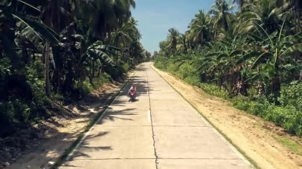 Imágenes Video Motociclista Montando Largo Camino Arbolado — Vídeos de Stock