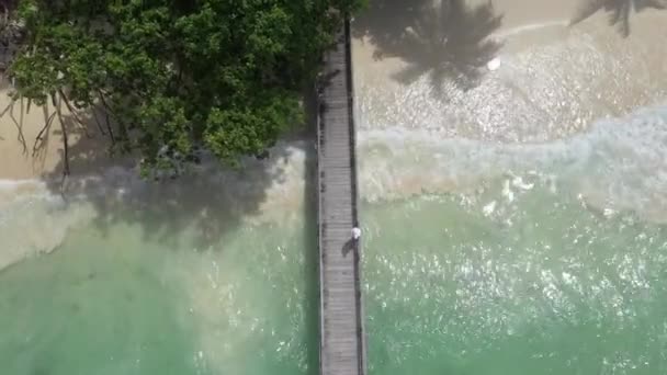 Drone Video Footage Unrecognizable Woman Standing Wooden Pier While Vacationing — Αρχείο Βίντεο