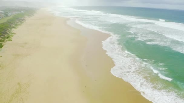 Video Footage Ocean Washing Empty Beach Surrounded Plant Life Day — Stockvideo