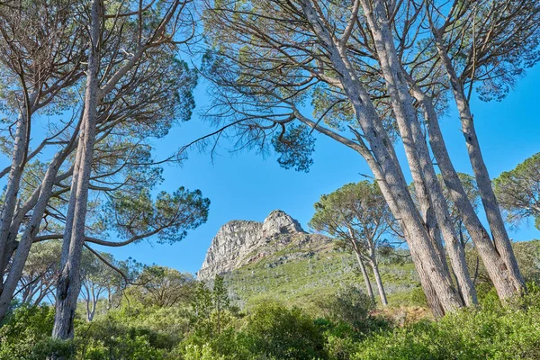 Ландшафтний Вид Гору Леви Голова Ліси Блакитне Небо Віддаленому Туристичному — стокове фото