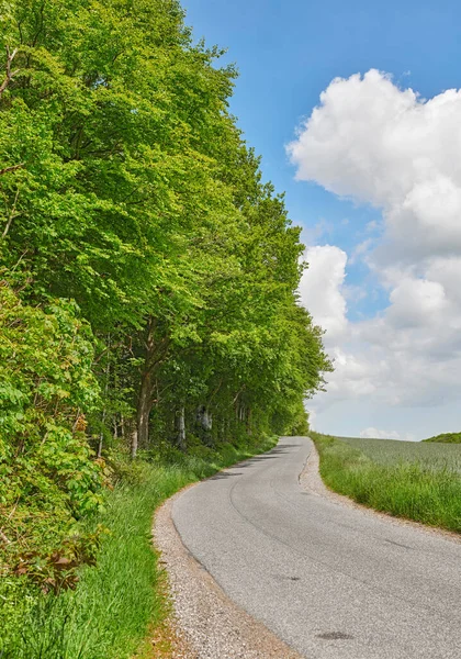 Road Trees Meadow Spring Cloudy Blue Sky Countryside Street Avenue — Stockfoto
