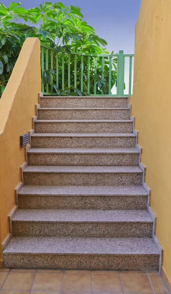 Exterior architecture of a staircase on a building in a beautiful colonial style city of Santa Cruz de La Palma in Spain. Classic design of tiled steps with green plants in the background.