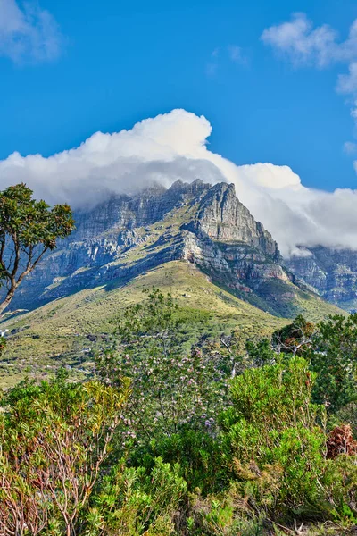 Tájkép Kilátás Table Mountain Környéke Nap Folyamán Nyáron Másolja Népszerű — Stock Fotó