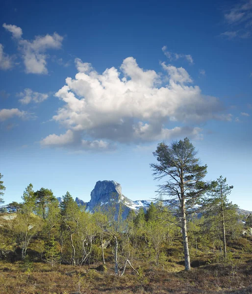 Forest Trees Mountains Early Spring Cloudy Blue Sky Background Scenic — 图库照片