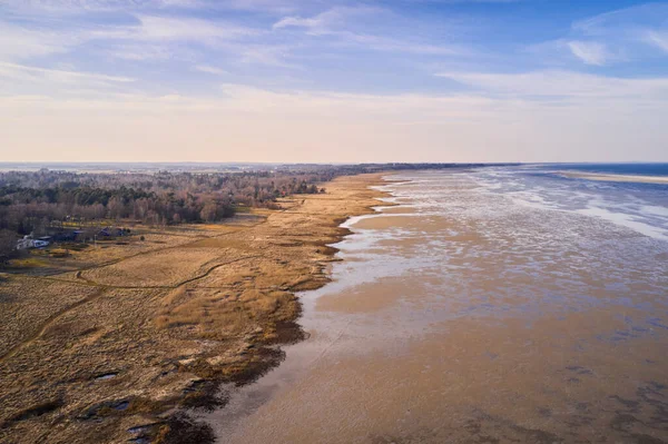 Beautiful Landscape Forest Dry Land Beach Copy Space Aerial View — 스톡 사진