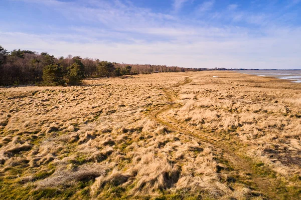 Wet Landscape Brown Grass Forest Blue Sky Copy Space Peaceful — 스톡 사진