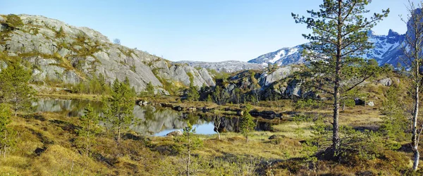 Lush rocky wilderness with greenery of wild grass and trees surrounding a pond with a blue sky copy space background. Peaceful landscape of empty woodland perfect for exploring nature in Bodo, Noway.