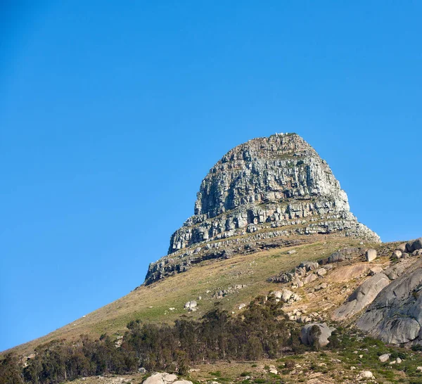 Landscape of Lions Head mountain on a clear blue sky with copy space. Rocky mountain peak with rolling hills covered in grass trees and bushes near popular hiking location in Cape Town, South Africa.