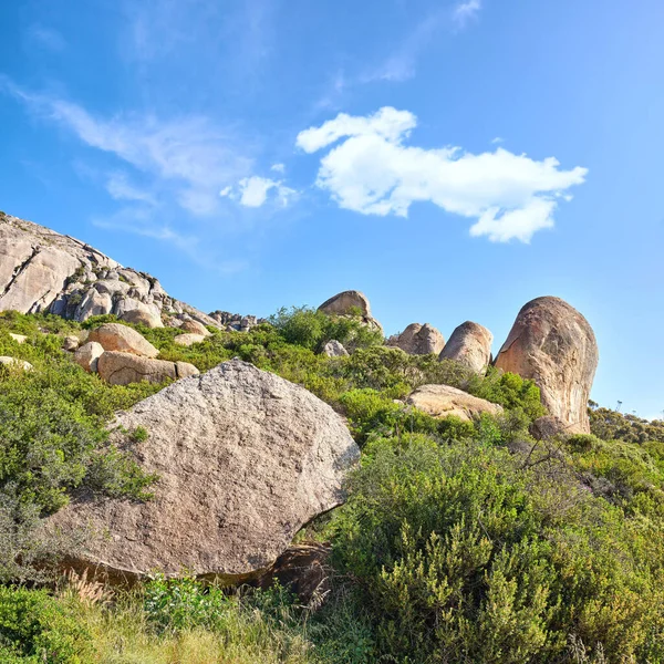 Many Rocks Bushes Blue Cloud Sky Copy Space Wild Nature — Stockfoto