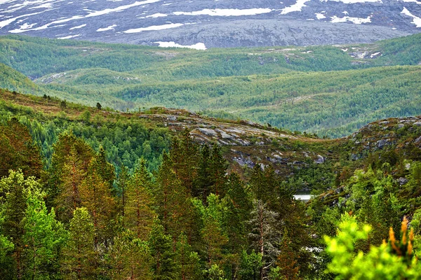 Paisagem Cênica Bodo Nordland Com Ambiente Natural Espaço Cópia Montanha — Fotografia de Stock