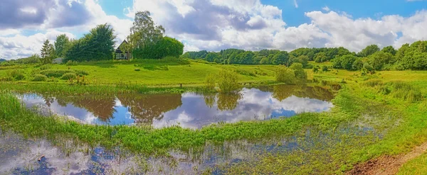 Landscape of groundwater management and level monitoring for distribution and local supply. Scenic view of water reserves in lake or pond with uncultivated weeds, plants, bushes and shrubs in Norway.