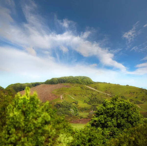 Copyspace Landscape Mountain Slope Green Pasture Narrow Passages Cloudy Sky — Fotografia de Stock