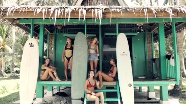 Video Footage Young Group Friends Posing Beach Shack Surfboards Going — 비디오
