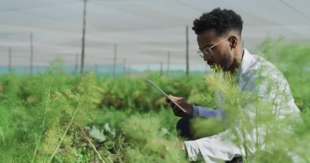 Video Footage Handsome Young Male Plant Scientist Using Digital Tablet — Stockvideo