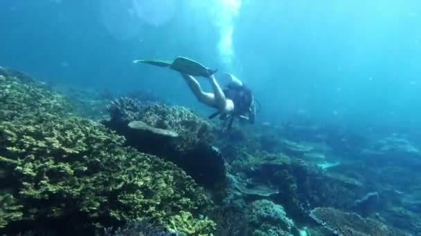 Imágenes Video Joven Buceando Océano — Vídeo de stock