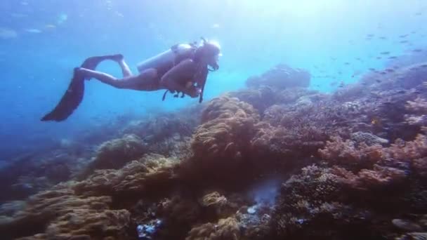 Video Footage Confident Young Woman Wearing Scuba Gear Swimming Massive — Wideo stockowe