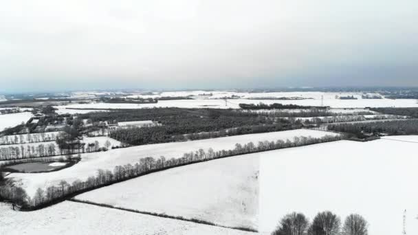 Une Vue Par Drone Paysage Hivernal Danemark — Video