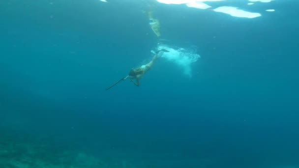 Video Footage Young Woman Spearfishing Underwater — Vídeos de Stock