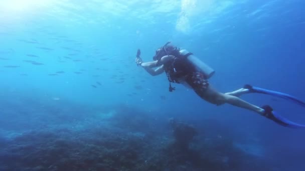 Video Footage Unrecognizable Man Scuba Diving Alone Depths Raja Ampats — ストック動画