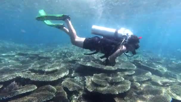 Відеозапис Молодого Чоловіка Підводного Плавання Океані — стокове відео