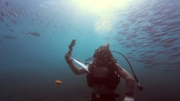 Video Footage Unrecognizable Man Scuba Diving Alone Fish Coral Reefs — 图库视频影像