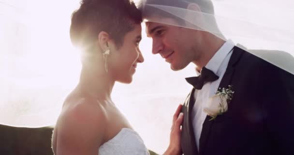 Video Footage Affectionate Young Newlywed Couple Sharing Intimate Moment While — Stockvideo