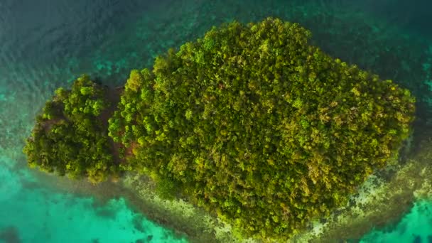 Video Footage Beautiful Raja Ampat Islands Indonesia — Stock Video