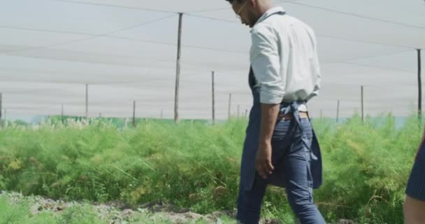 Video Footage Two Young Farmers Analyzing Plants Greenhouse Farm Day — Stockvideo