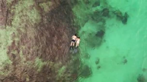 Vidéo Couple Méconnaissable Plongeant Ensemble Dans Mer Pendant Journée — Video