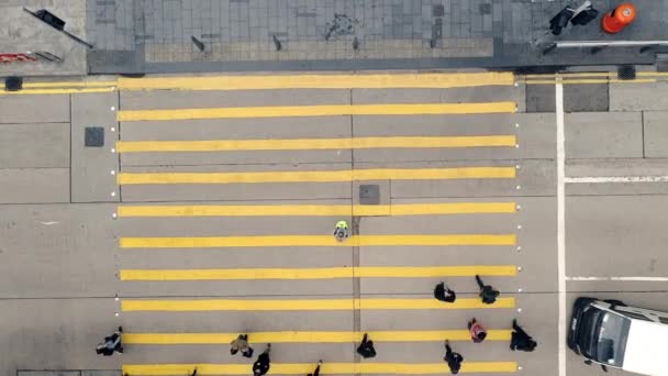 Imágenes Video Peatones Cruzando Paso Peatones Una Calle Ciudad — Vídeos de Stock