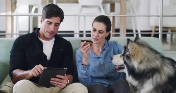 Videomaterial Von Einem Paar Das Mit Seinem Hund Witzelt Während — Stockvideo